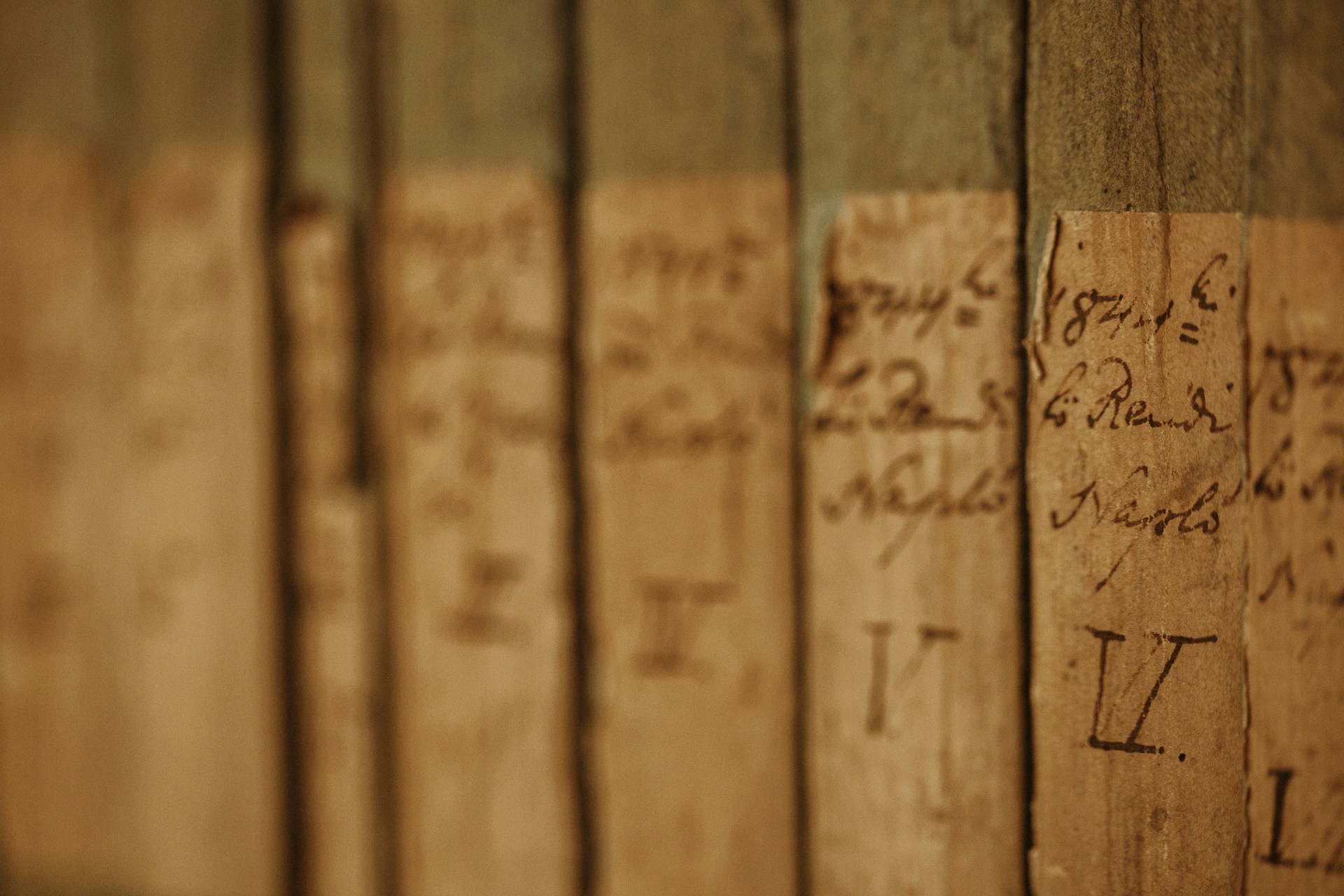 Row of old blurry book spines with titles.